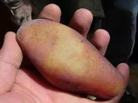 巧识天然籽料和滚筒籽料