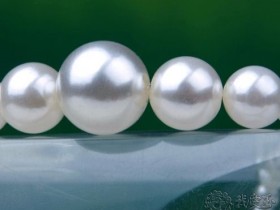 影响珍珠价格的有哪些因素