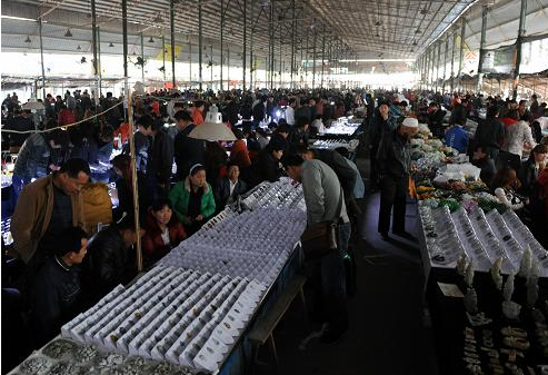 河南南阳玉石批发市场具体位置在哪?应该怎么去