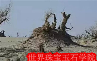 国内外在玛瑙矿石脉挖玛瑙的实景图片
