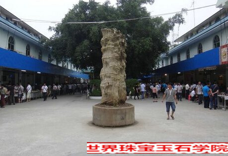 去瑞丽翡翠批发市场买翡翠看翡翠攻略(一)