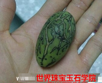 菩提子为什么会变色?怎么使千眼菩提子变绿的秘方