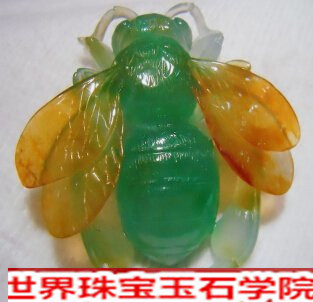 翡翠是什么颜色的?翡翠的颜色有几种