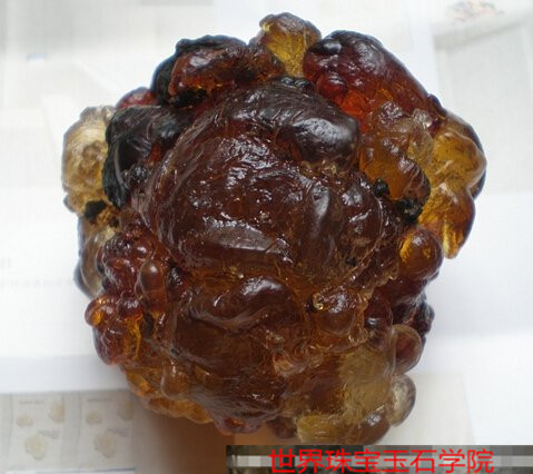 天然琥珀的形成条件有哪些?图解琥珀的形成过程