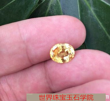 未来哪种玉石最值得投资?玉石投资价值排名