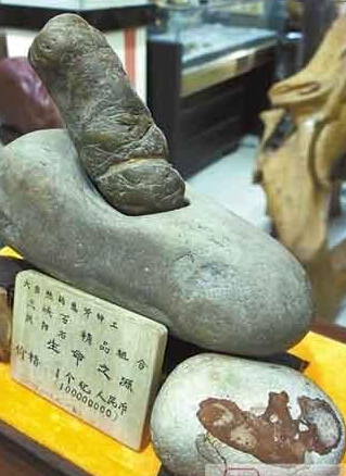 男子捡块石头价值一亿 收藏家们是不是有病?