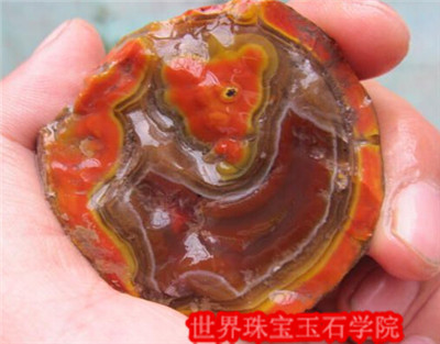 北京姑娘发现宣化上谷战国红玛瑙的传奇故事