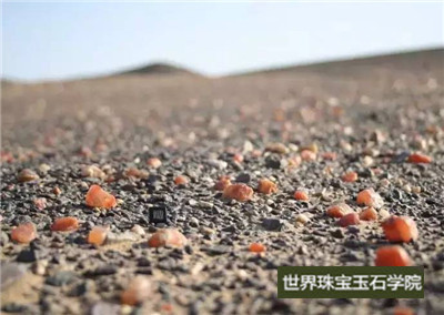 去新疆还能捡到玉石吗?新疆捡玉石的地方揭秘