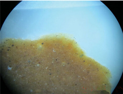 和田羊脂玉级别的带有糖色的白玉手镯鉴定图解