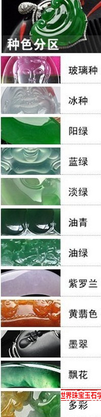 翡翠常见的颜色品种有哪些看看翡翠种和色的分类图