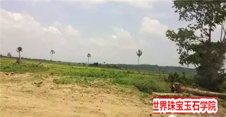 深入缅甸翡翠原石场口一路上真是步步惊心!