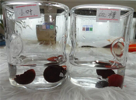 实验证明血檀和小叶紫檀珠子的区别不止一点