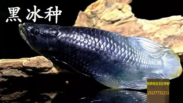 翡翠家族族谱你了解多少？-玉器鉴定师培训核心内容
