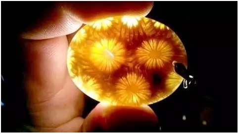 珊瑚玉饰品之美源于自然 珊瑚玉饰品之美源于自然 -玉器鉴定师培训核心内容