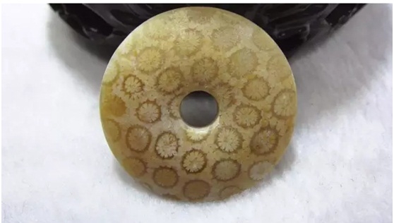 珊瑚玉饰品之美源于自然 珊瑚玉饰品之美源于自然 -玉器鉴定师培训核心内容
