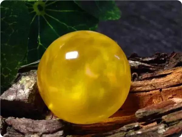 宝石汇:玩琥珀,也要讲科学,快来看看你知道哪几个? 玩琥珀,也要讲科学,快来看看你知道哪几个?-玉器鉴定师培训核心内容
