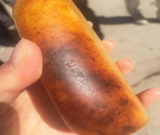 火眼金睛 鉴别和田玉子料的有效方法-和田玉鉴定专家必修课