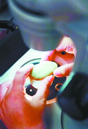 珠宝鉴定 没那么简单(组图)