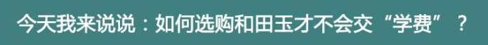 马云都在看的——和田玉免费选购方法