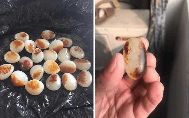 什么是独籽? 独籽好在哪?