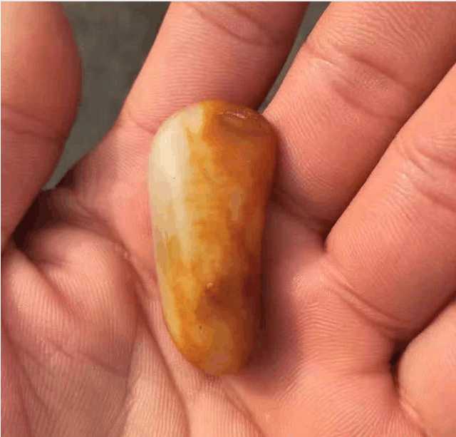 什么是独籽? 独籽好在哪?