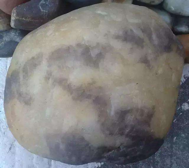 什么是独籽? 独籽好在哪?