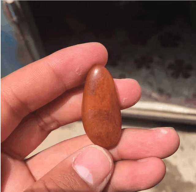 什么是独籽? 独籽好在哪?