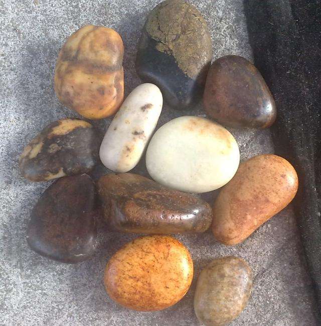 什么是独籽? 独籽好在哪?