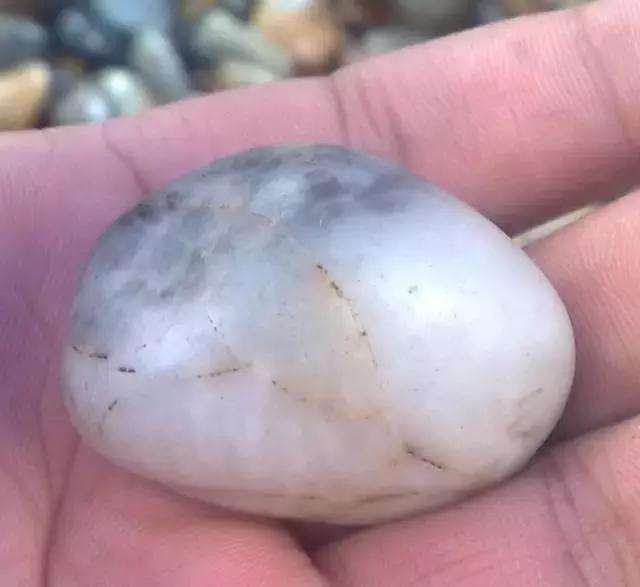 什么是独籽? 独籽好在哪?