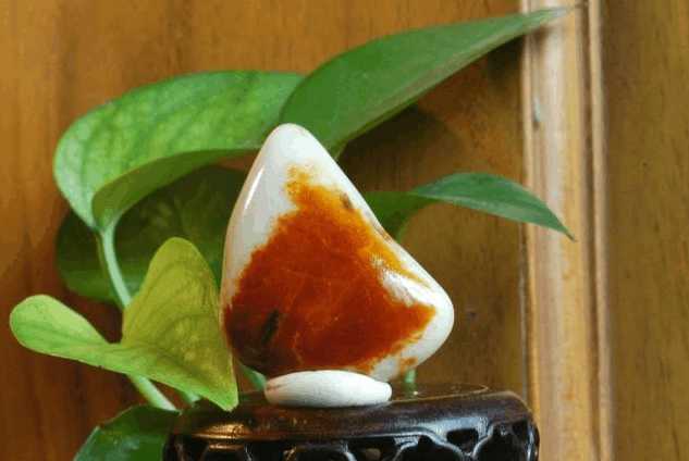 什么是独籽? 独籽好在哪?