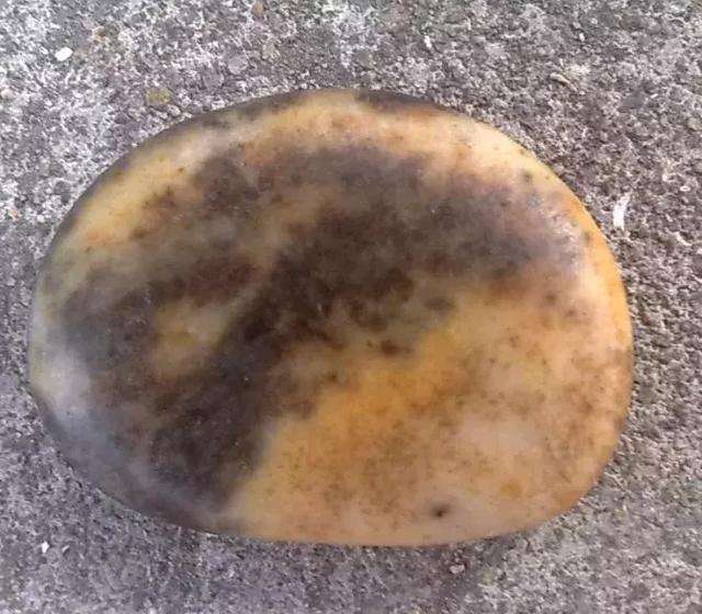 什么是独籽? 独籽好在哪?