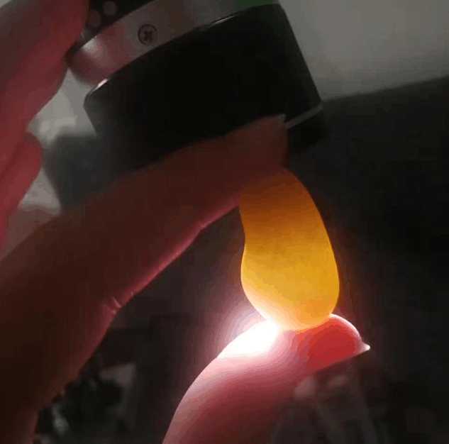 什么是独籽? 独籽好在哪?