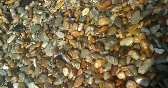 什么是独籽? 独籽好在哪?