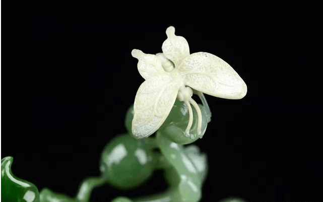 什么是独籽? 独籽好在哪?