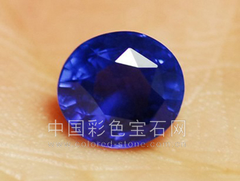 克什米尔矢车菊--蓝宝石之王