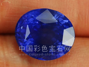 克什米尔矢车菊--蓝宝石之王