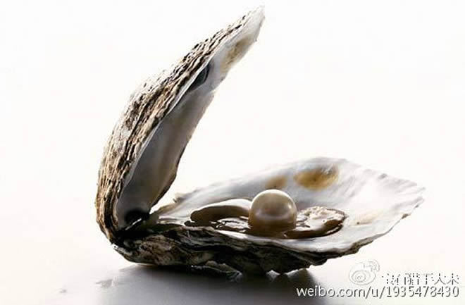 天然珍珠的历史