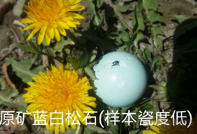 购买绿松石如何来判断好坏?还怕被骗?来看看行业老司机的经验吧