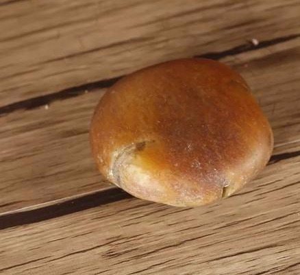 百年沁料和田玉,如何收藏?