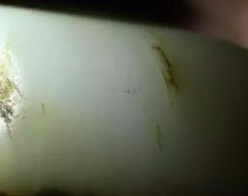 七种方法让你看清和田玉籽料真假!