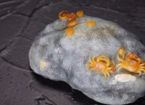 玩和田玉,你用心了吗?