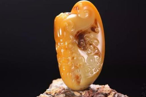 盘玉,不小心掉进马桶