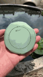 这种颜色最淡的碧玉,明年可能会大火!