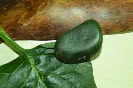 顶级碧玉之——菠菜绿的和田玉!