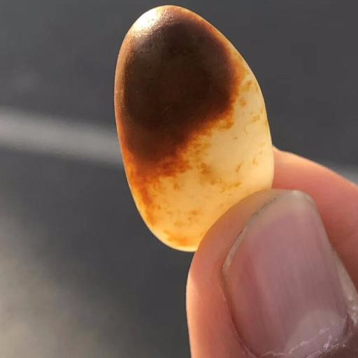 说说和田玉批发市场里的红皮白肉和田玉!