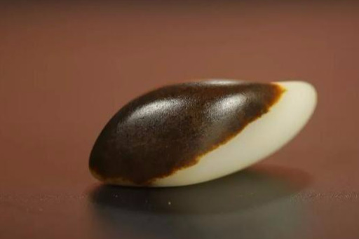 和田玉批发市场里籽料万年黑皮里的秘密!