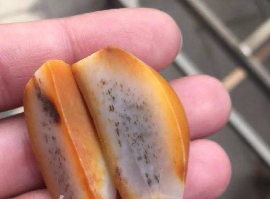 想要真正看懂和田玉籽料的皮色,你需要知道这些!